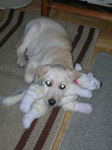 Con 4 meses - Ha ganado la batalla contra el peluche